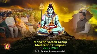 Glimpses of Maha Shivaratri Group Meditation - Feb 2025