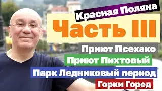 Красная Поляна 2020. Приют Псехако. Приют Пихтовый. HD