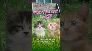 Flatten The Earth #kittens #science