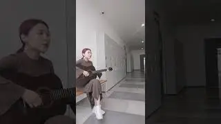 soltwine - чучело (cover)
