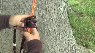 Blake's Hitch