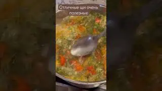 Свежие щи на курице