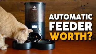 Petultra Dual Automatic Pet Feeder Setup and First Impressions