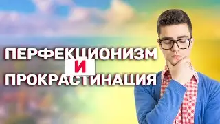 LiveСМР #51 