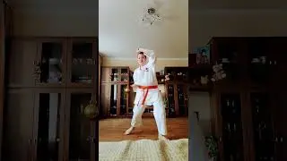 ката дзион на 2 кю коричневый пояс