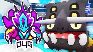 PASSION GAMING - Pokemon Draft League | P4G Week 8
