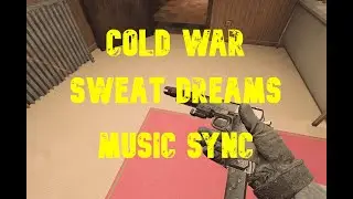 Cold War Sweet Dreams Gun Sync