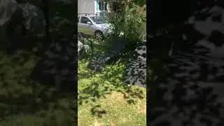 ЖИЗНЬ НА ФРАНЦУЗСКОЙ ШКОНКЕ