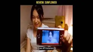 SUNFLOWER sub indo review film