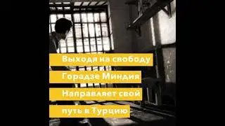 Вор в законе Миндия