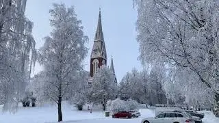 Прогулка по утреннему снегу, вопрос к зрителям🥮