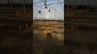 г. Мичуринск покраска в теплицах!
