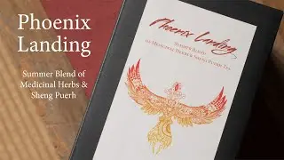 Phoenix Landing