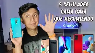 Top 5 mejores smartphones GAMA BAJA 2020 (Calidad precio)