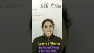 Retina Layers