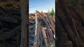 О нашей жизни в Чехии.