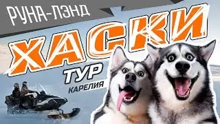 Хаски_Катание на собачьх упряжках