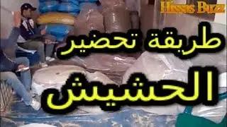 فيديو نادر...طريقة تحضير الحشيش القنب الهندي. مع نغمات الدقة  المراكشية