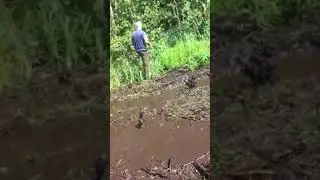 лесовоз купается в грязи