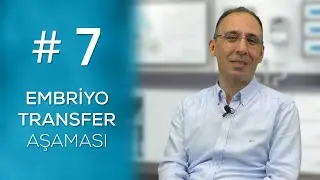 EMBRİYOLARIN TRANSFER AŞAMASI #7