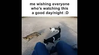 me @ all of you