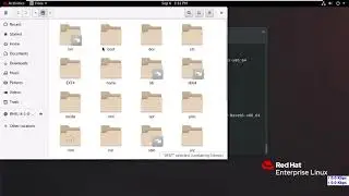 7  Managing Basic Storage Commands in RHEL 8