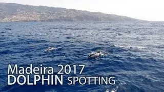 Madeira 2017 Dolphin Spotting Cruise - FeiyuTech Vimble C