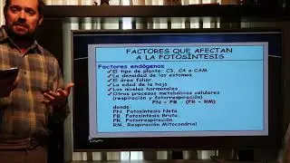 Factores que condicionan la fotosíntesis