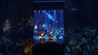 Симфоническое Кино. Юрий Каспарян играет на гитаре. Превосходный аккомпанемент! (Кострома 2023)