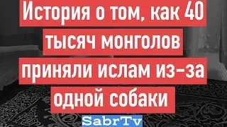 История о том, как 40 тысяч монголов приняли ислам из-за одной собаки