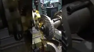 Шестерня круговой зуб