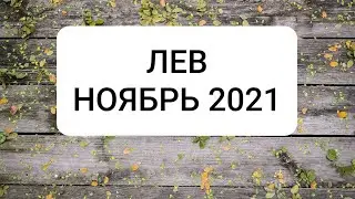 ЛЕВ. НОЯБРЬ 2021 г.