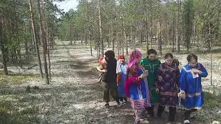 Прогулка по бору. Нярсогорт 2023
