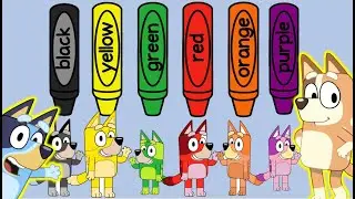Making Bluey Different Colors! | Disney Jr | Bluey Coloring! | JD Cars Toys