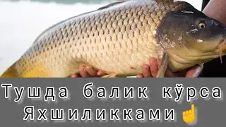Тушда балик кўриш яхшиликками? Tushda mayda katta baliqlarni koʻrish nimadan dalolat beradi?