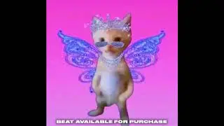 FREE Chicago Juke x Footwork type beat Pink Cat