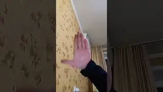 5 апреля 2024 г.