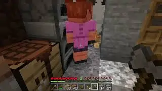 Minecraft: New Realm, Who This?