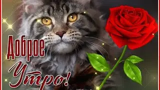 ДОБРОЕ УТРО ! - ПОВЕРЬТЕ, ВСЁ НЕ ТАК ПЛОХО, КАК КАЖЕТСЯ ! ( ВСЁ ГОРАЗДО ХУЖЕ...)