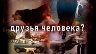 Друзья человека-4.  Записки Херсонского параноика.
