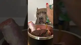 Time to feast
