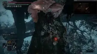 Elden ring DLC  20