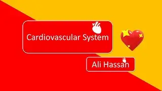 Cardiovascular system|| What is Cardiovascular System||For Beginners || By Ali Hassan