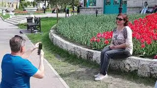 Тюльпаны в Цветнике. Пятигорск