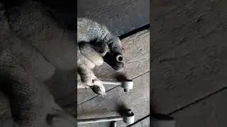 хендай туксон косточки  передние ростеко