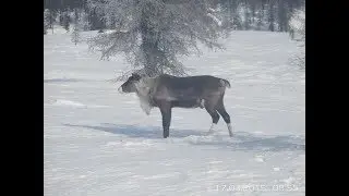 Колымская трасса - Артык.