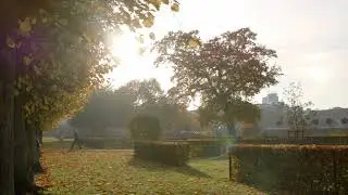 Mediaspektrum -  Efterår i Kongens Have 2021