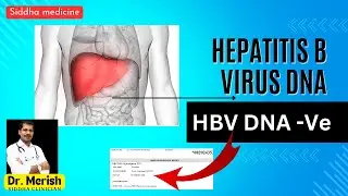 HBV DNA negative case : Towards success : Lets travel with us.