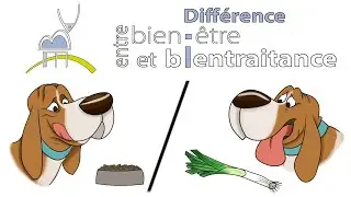 What’s the difference between welfare and good treatment? Animal Welfare Series No 3