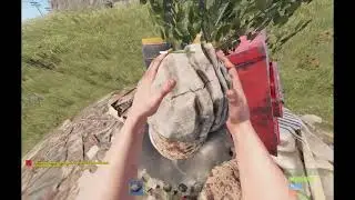 Am I just lucky? Rust survival